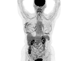 Figure 19D